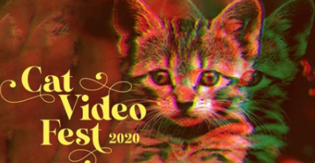 Cat Video Fest 2020